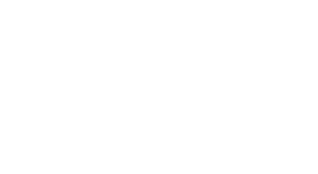 Invest-Impuls Scale